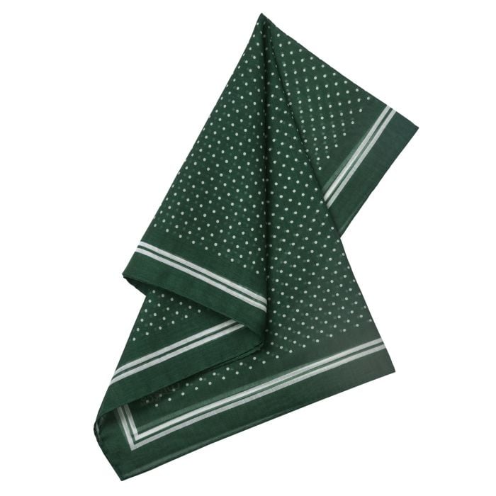 Green Silk Cotton Voile Spot Hank