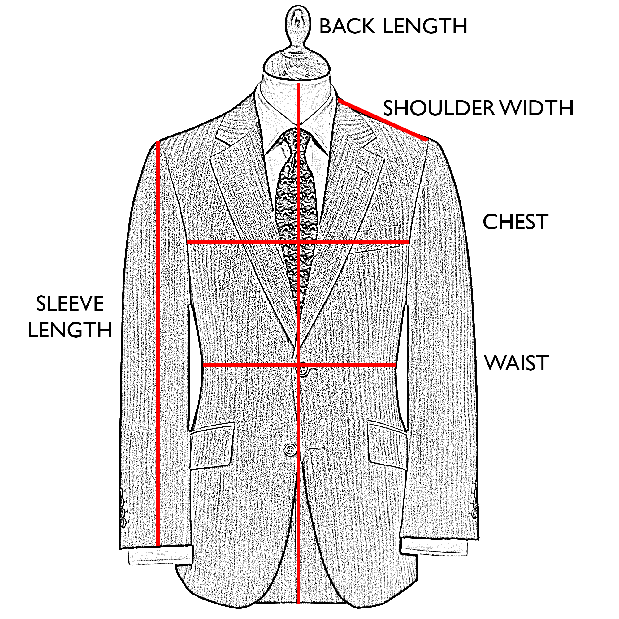 Moss Green Shetland Tweed Blazer | Men's Country Clothing | Cordings EU