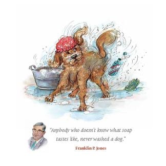 Cordings No Dogs on the Bed Hardback Book Dif ferent Angle 1