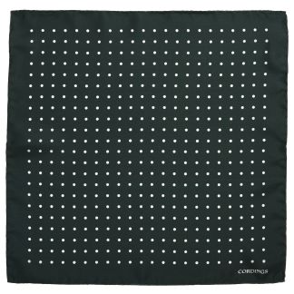 Cordings Green Silk White Spot Hank Dif ferent Angle 1