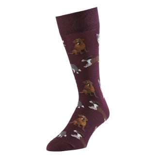 Cordings Wine Woof Sock Main Image