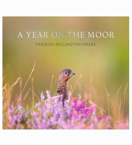 A Year on the Moor Book