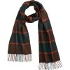 Green Brown Horsforth Cashmere Scarf
