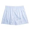 Pale Blue Bath Boxer Shorts