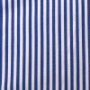 Blue Stripe Ruffle Shirt