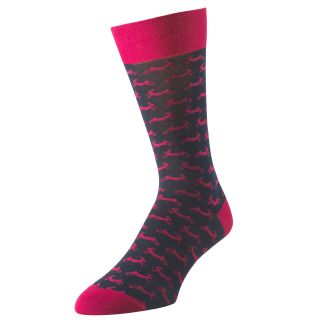 Cordings Navy Pink Hare Heel and Toe Sock Main Image