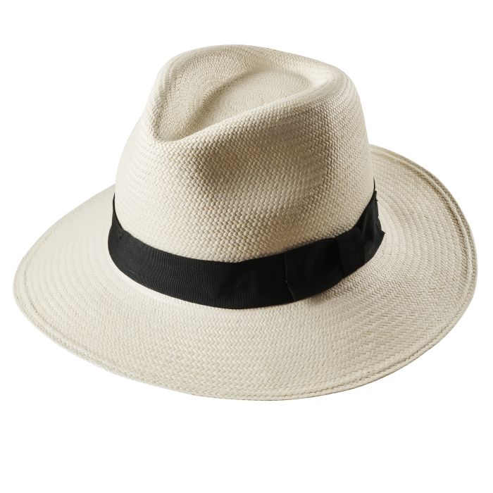 New Down Brim Panama Hat